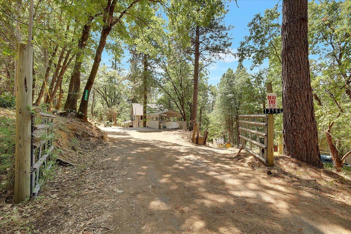 12986 South Mack Road Grass Valley, CA 95949 - Photo 65 of 81
