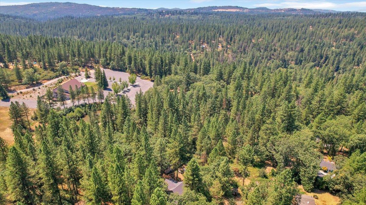 12986 South Mack Road Grass Valley, CA 95949 - Photo 70 of 81