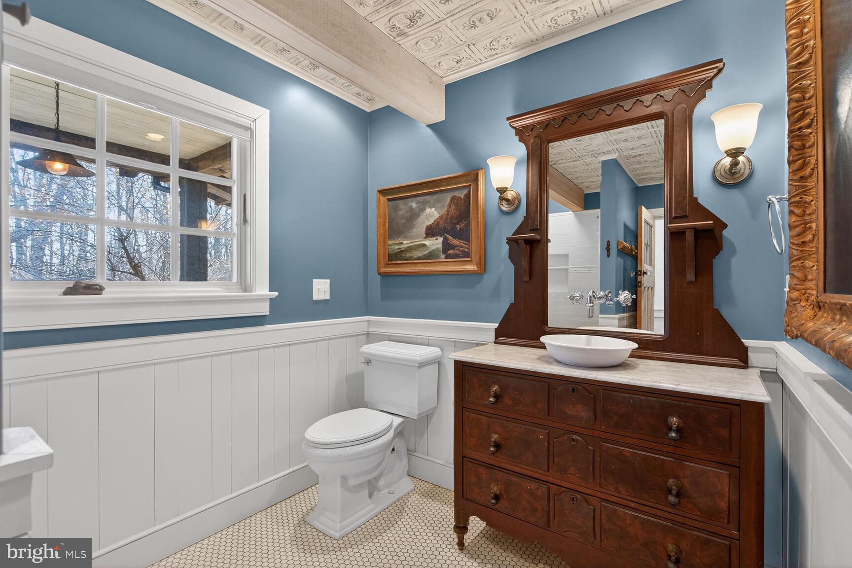 17651 Raven Rocks Road Bluemont, VA 20135 - Photo 45 of 87 a bathroom with a toilet a sink and mirror