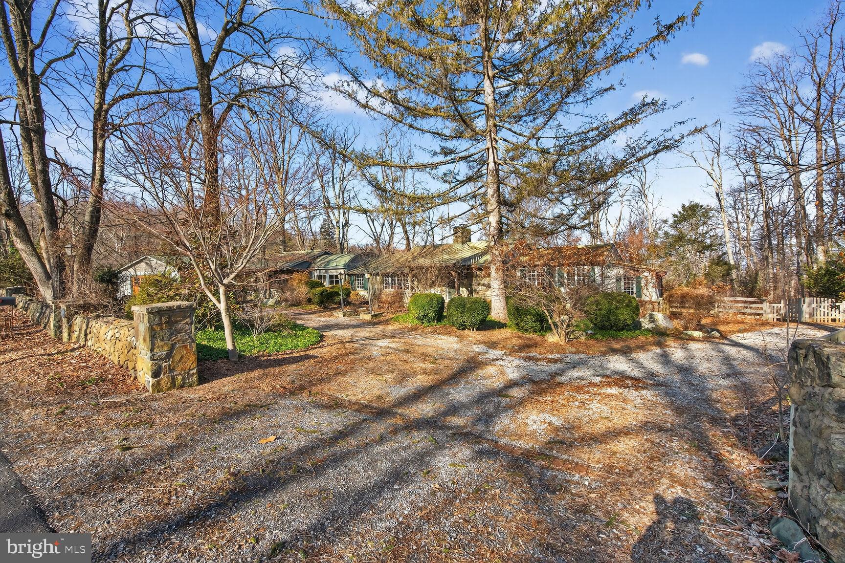 17651 Raven Rocks Road Bluemont, VA 20135 - Photo 70 of 87 a view of road with large trees