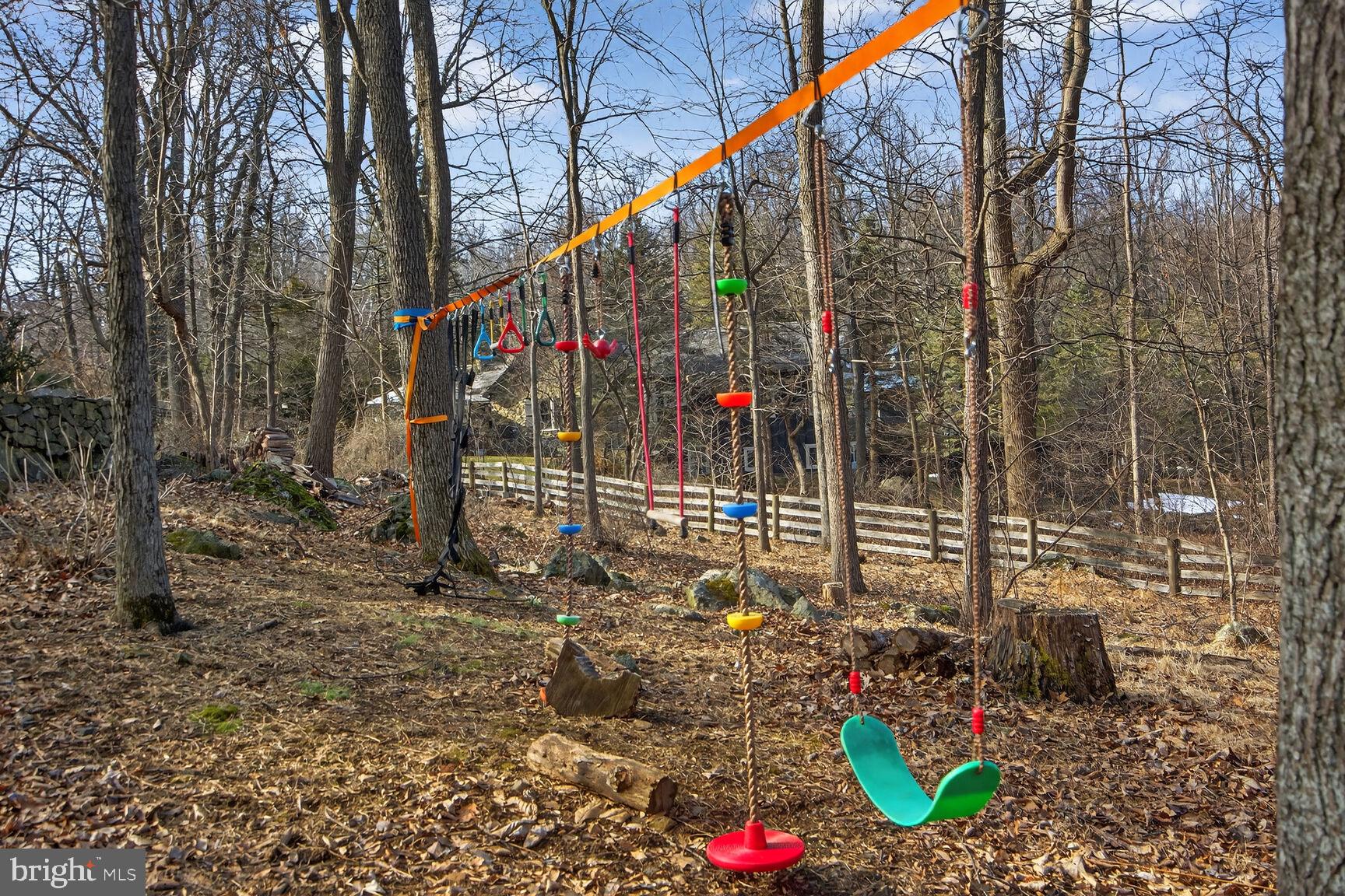 17651 Raven Rocks Road Bluemont, VA 20135 - Photo 74 of 87 Playground Area