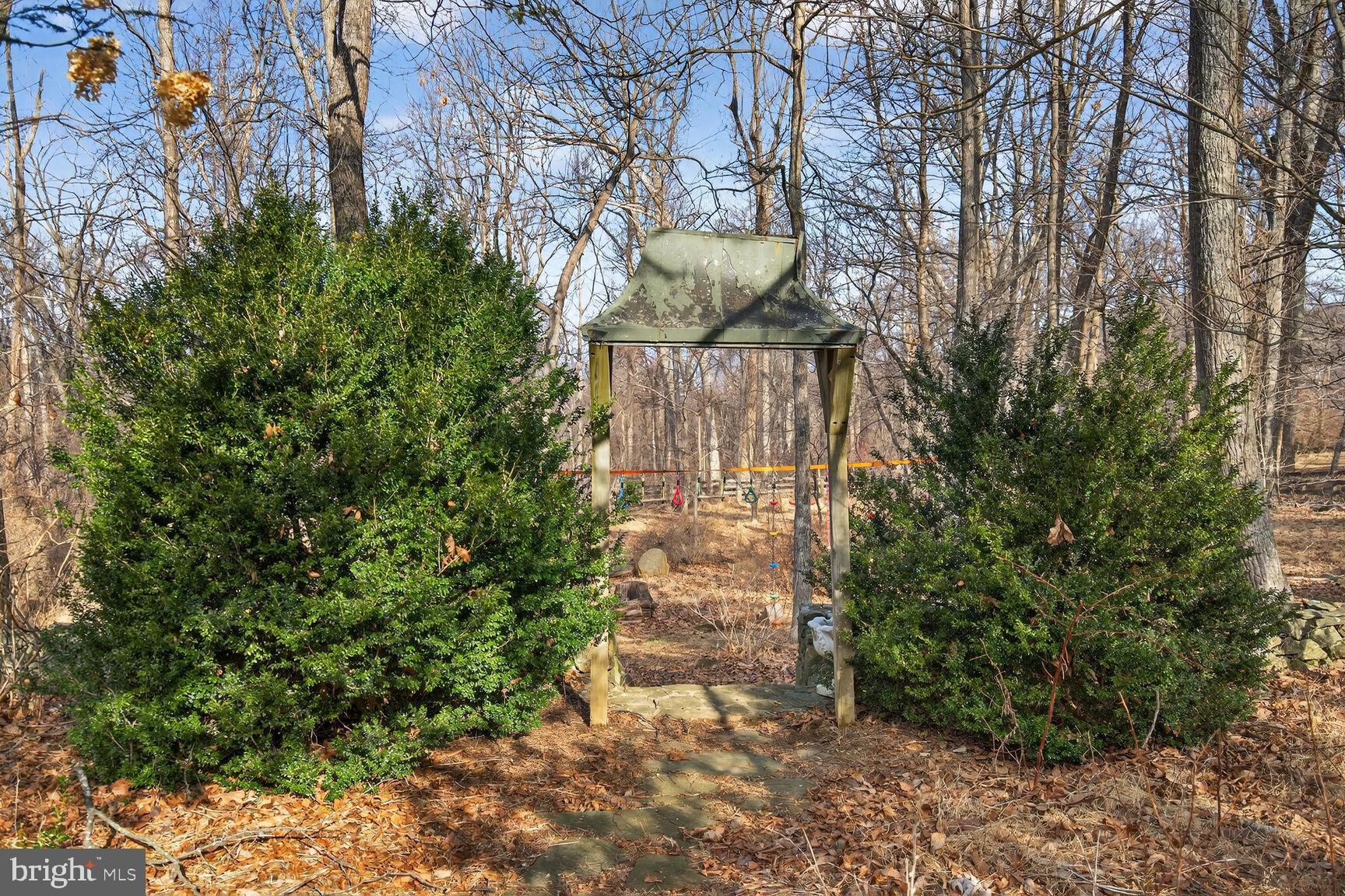 17651 Raven Rocks Road Bluemont, VA 20135 - Photo 75 of 87 a view of statue in a garden
