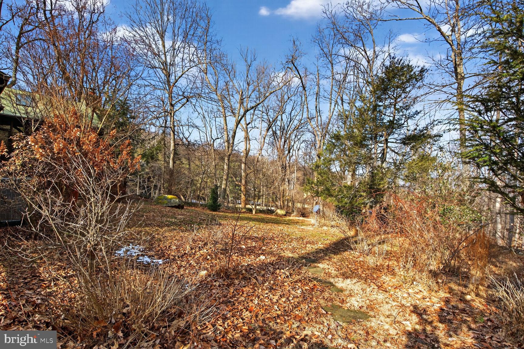 17651 Raven Rocks Road Bluemont, VA 20135 - Photo 76 of 87 a view of a yard with plants and trees