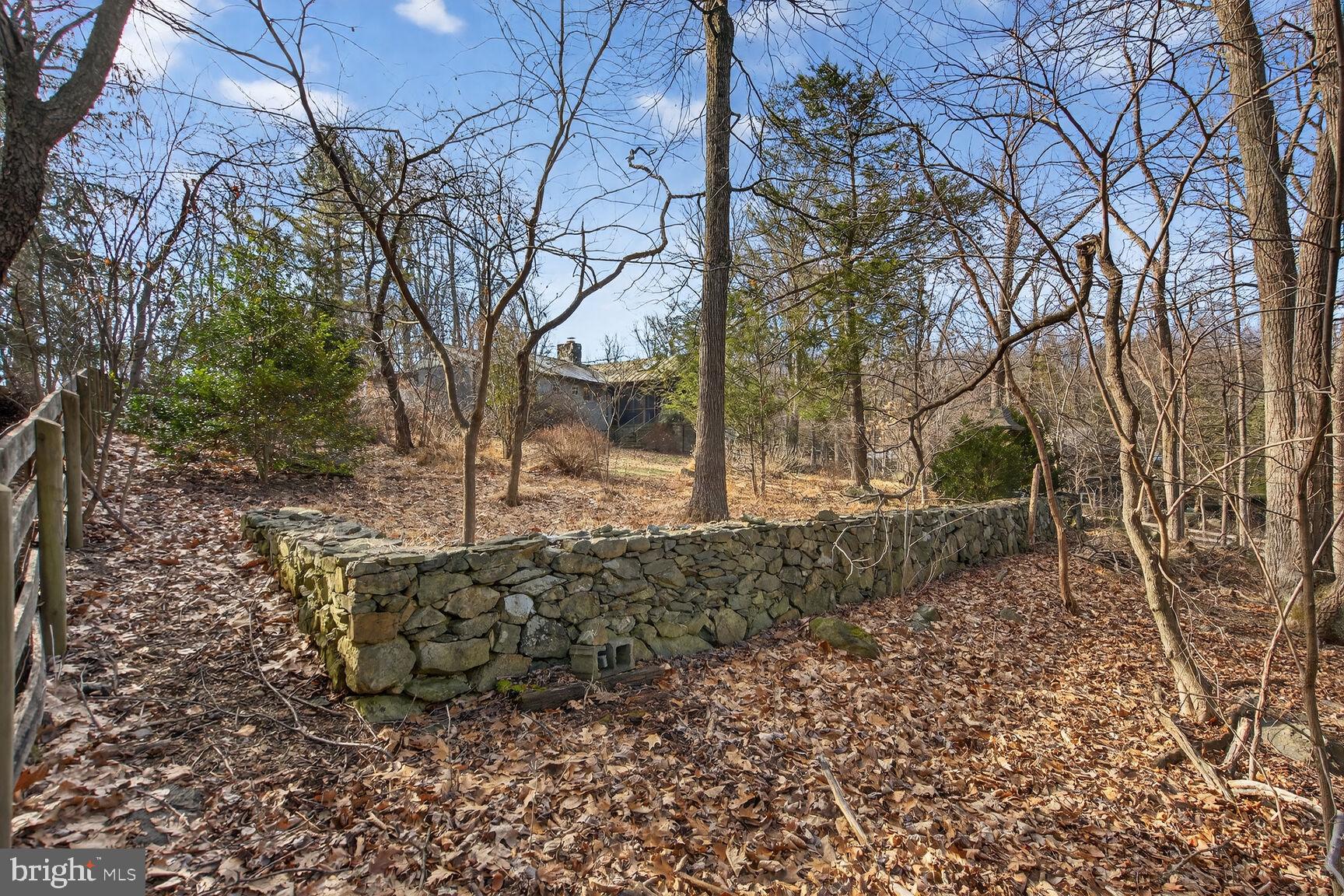 17651 Raven Rocks Road Bluemont, VA 20135 - Photo 77 of 87 a view of a yard with large trees