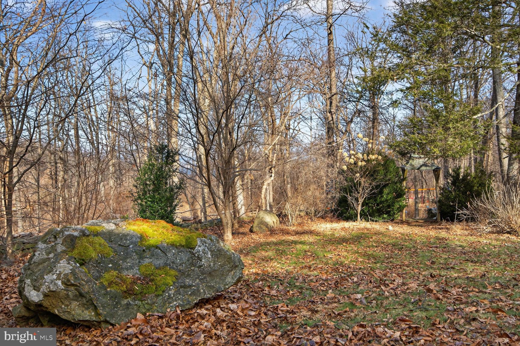 17651 Raven Rocks Road Bluemont, VA 20135 - Photo 79 of 87 Mature Trees