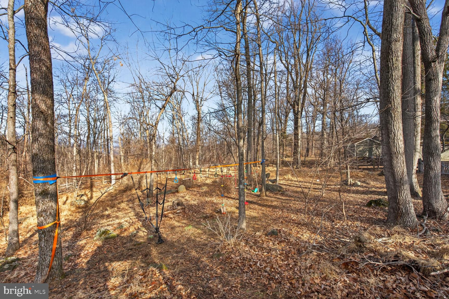 17651 Raven Rocks Road Bluemont, VA 20135 - Photo 80 of 87 Large Backyard