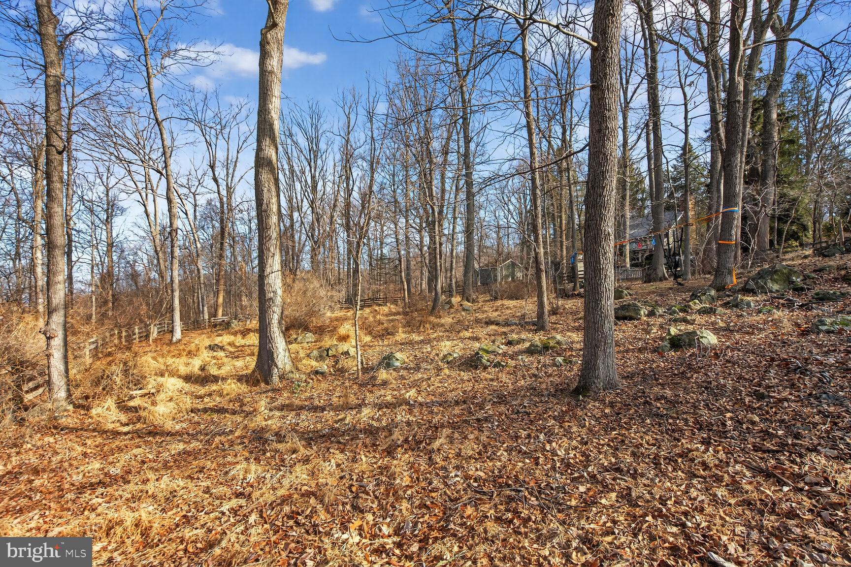 17651 Raven Rocks Road Bluemont, VA 20135 - Photo 81 of 87 a view of a backyard of the house