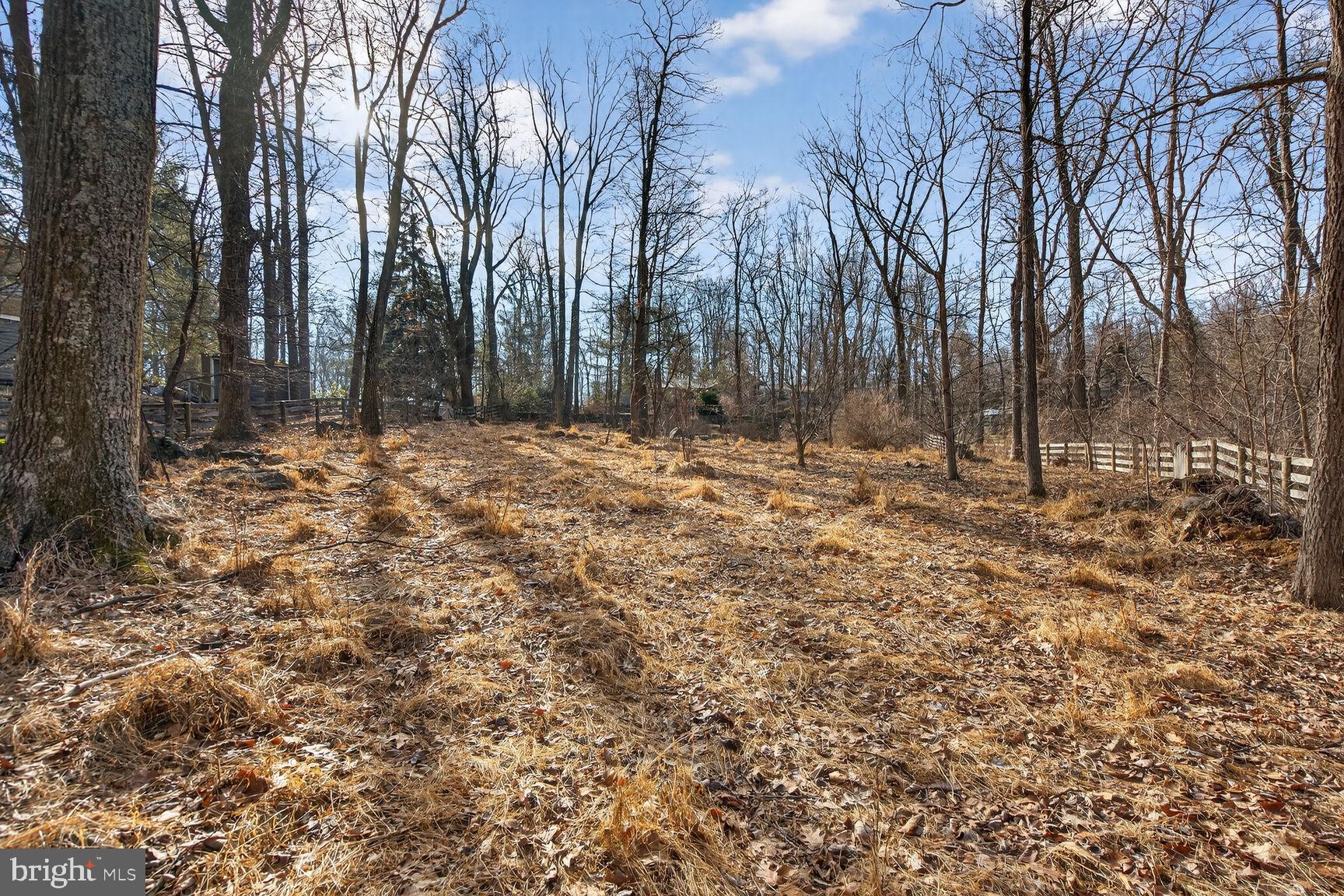 17651 Raven Rocks Road Bluemont, VA 20135 - Photo 82 of 87 Backyard