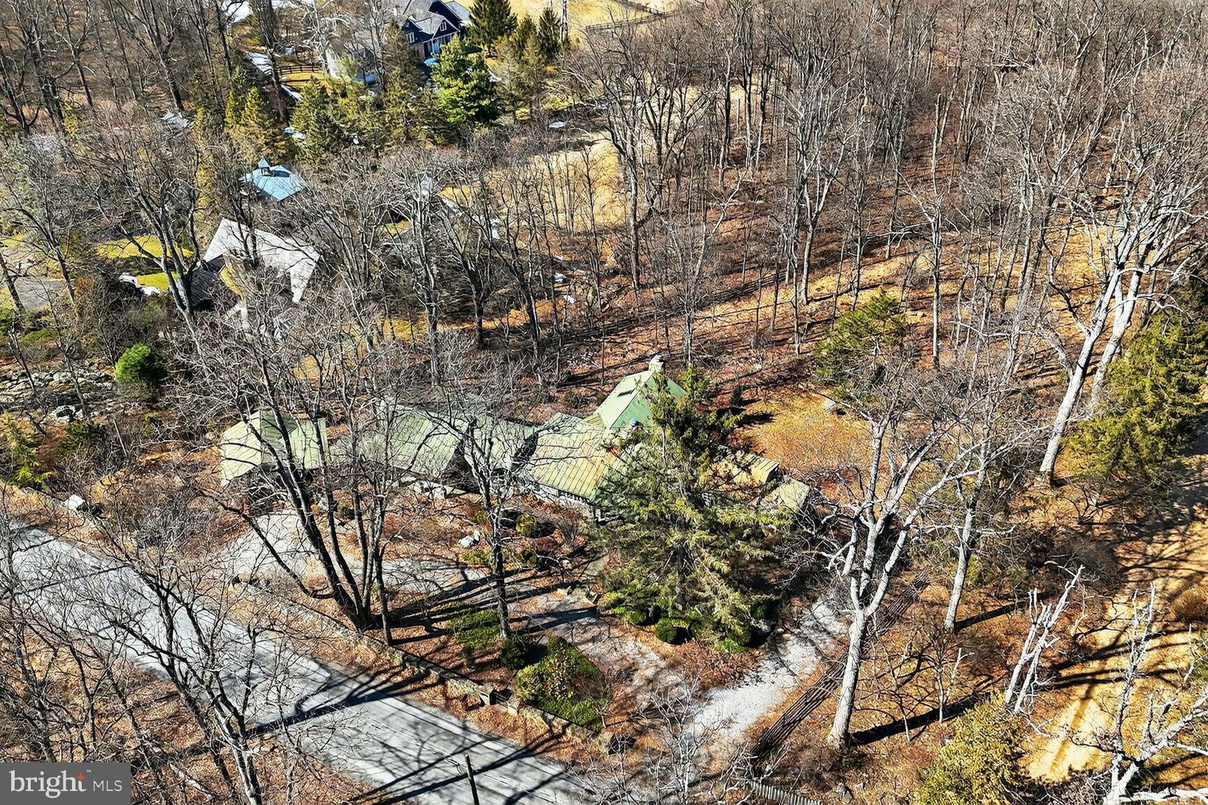 17651 Raven Rocks Road Bluemont, VA 20135 - Photo 84 of 87 a picture of tree