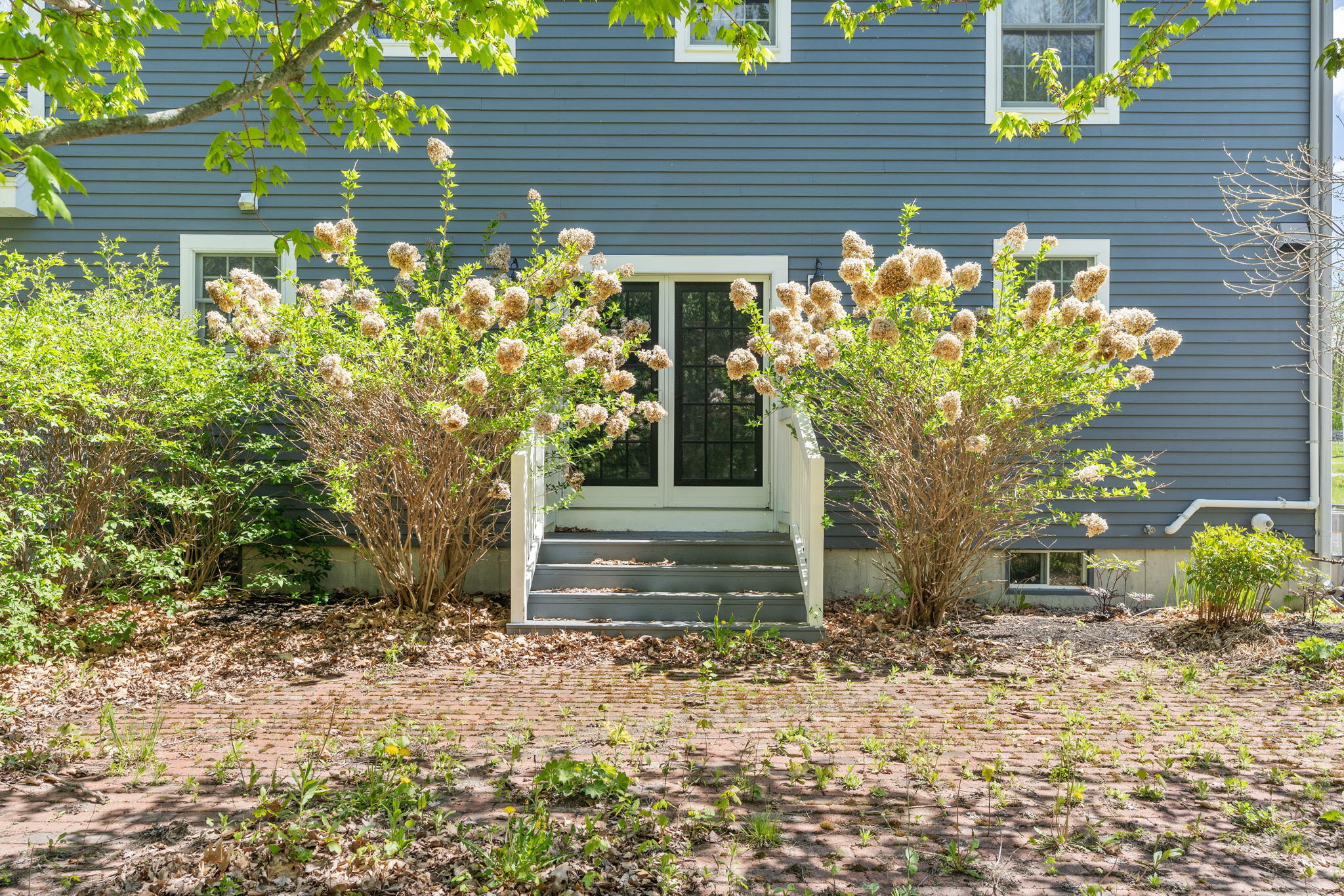 75 Babbidge Road Falmouth, ME 04105 - Photo 6 of 81 5-web-or-mls-DSC04933