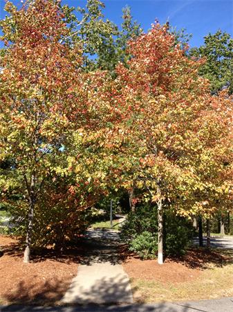 69 Spencer Road, Unit 20J Boxborough, MA 01719 - Photo 13 of 14