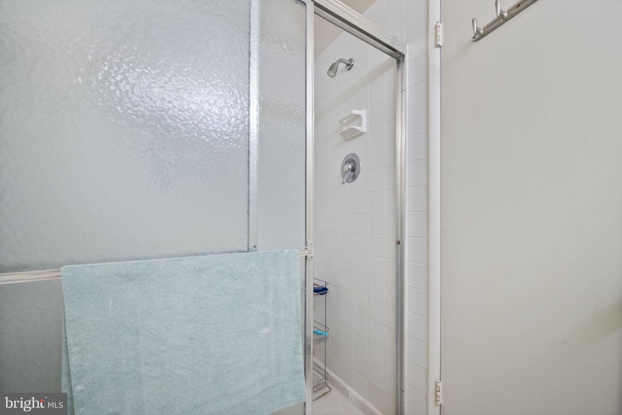 7 Slade Avenue, Unit 119 Baltimore, MD 21208 - Photo 22 of 41 Walk in Shower in Primary