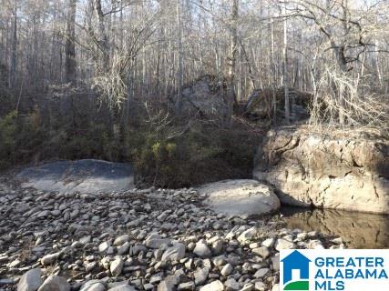 0 Pea Ridge Circle, Unit 424 Union Grove, AL 35175 - Photo 46 of 49