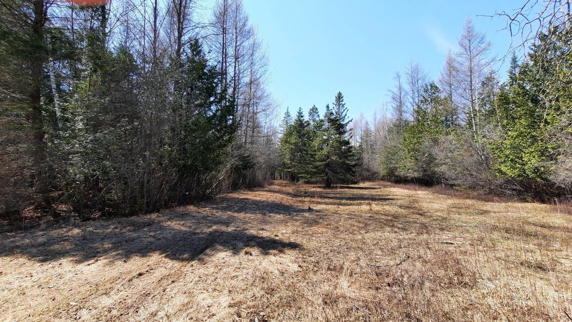 4576 French Road Alpena, MI 49707 - Photo 11 of 17 Gallery Image 11