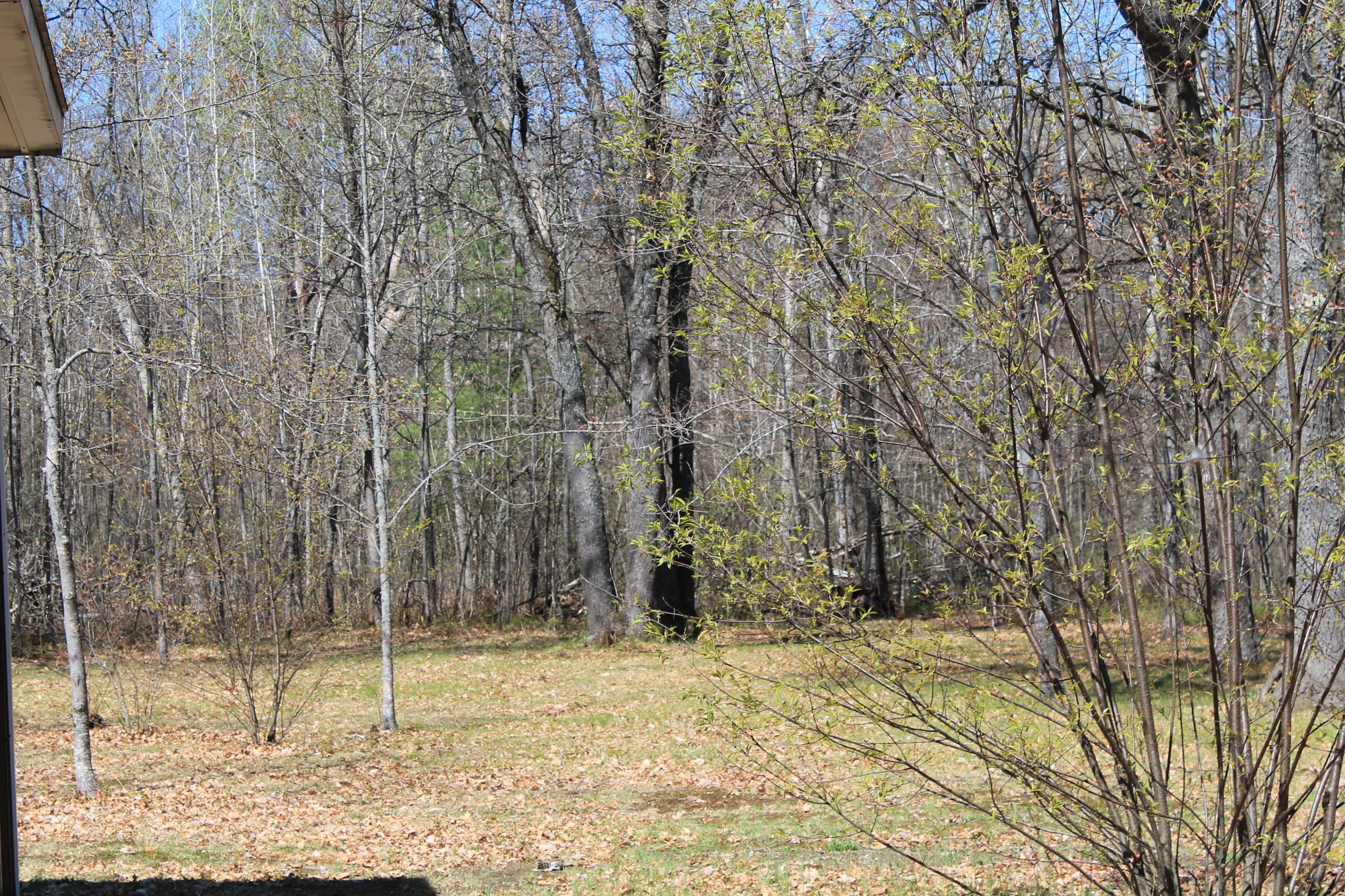 3510 Buttles Road Lewiston, MI 49756 - Photo 33 of 36 Gallery Image 33