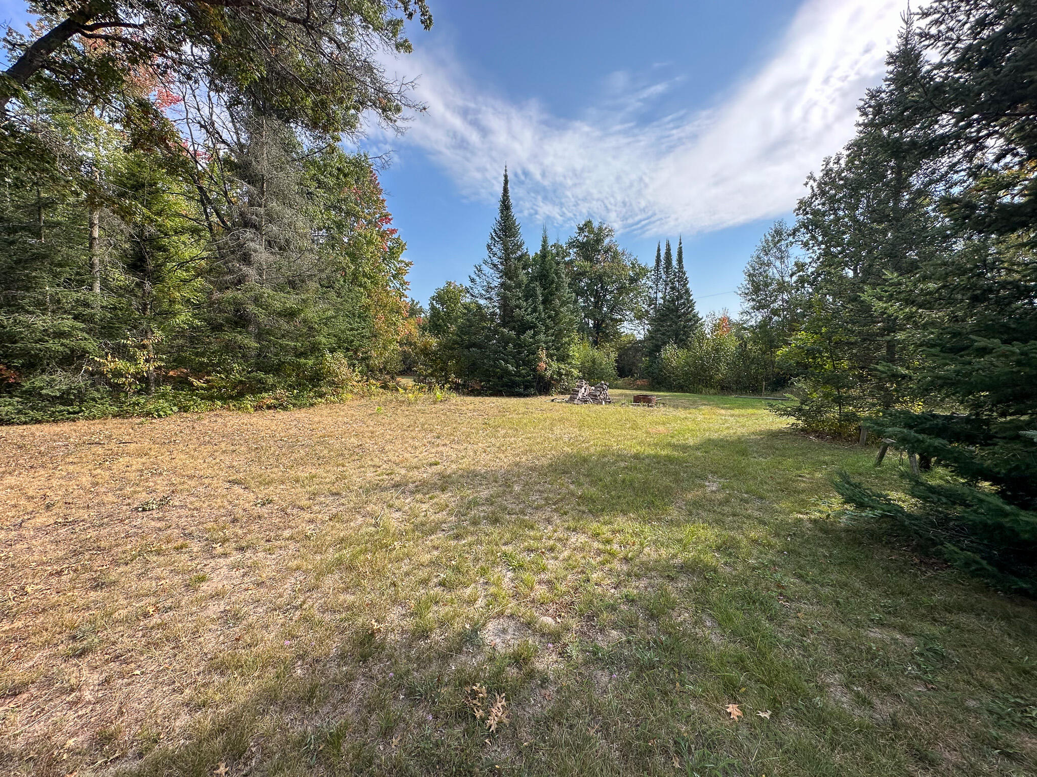 596 North River Road Marion, MI 49665 - Photo 17 of 49 Yard 2