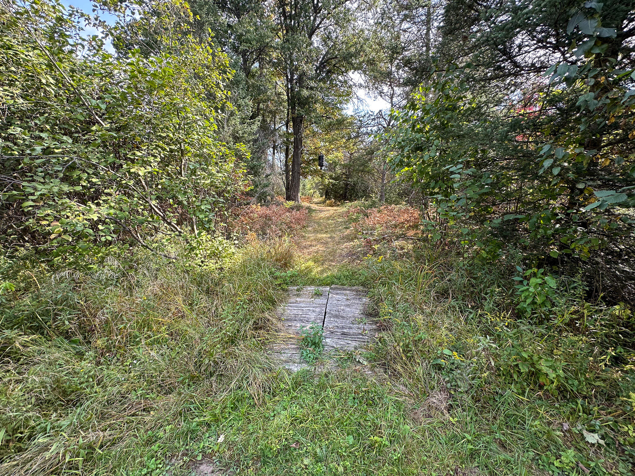 596 North River Road Marion, MI 49665 - Photo 18 of 49 Bridge