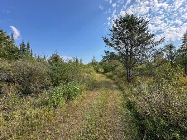 $330,000 | 596 North River Road, Marion, MI 49665