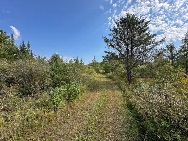 $350,000 | 596 North River Road, Marion, MI 49665