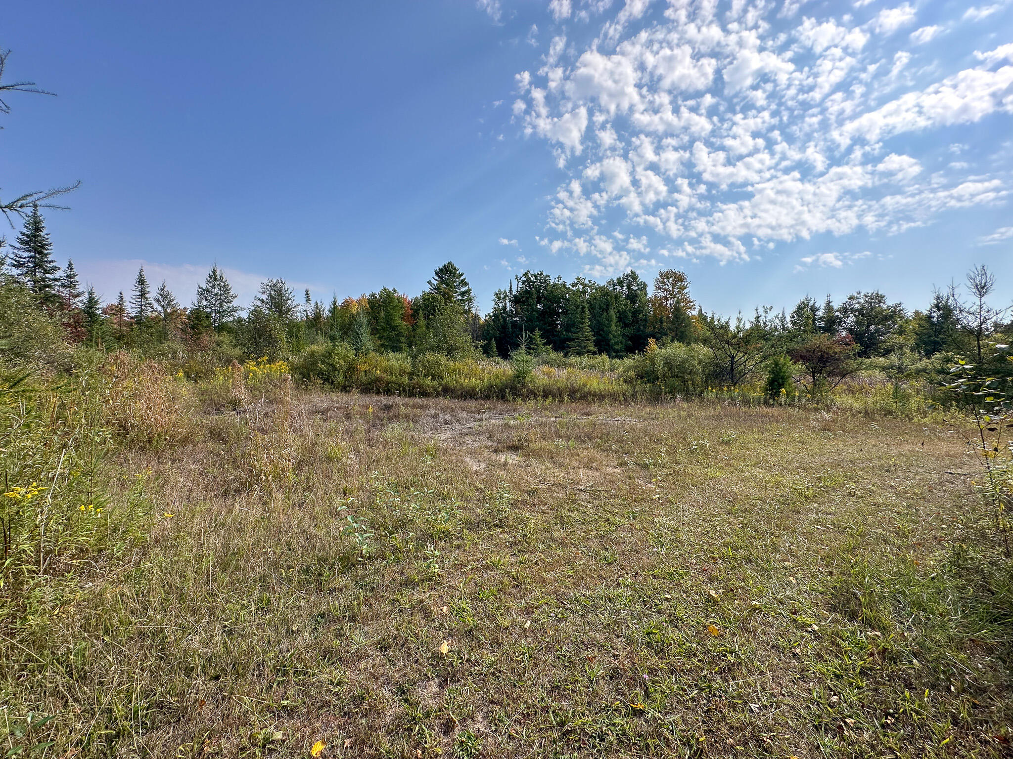 596 North River Road Marion, MI 49665 - Photo 20 of 49 Clearing 1