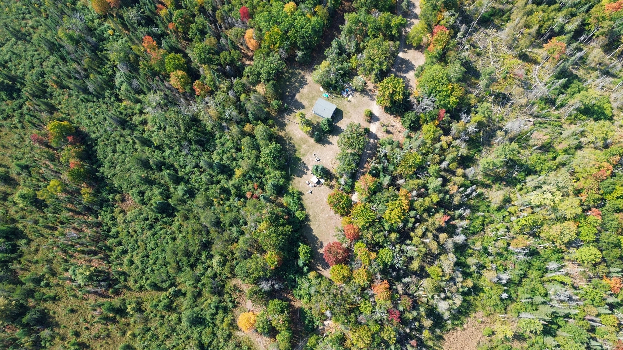 596 North River Road Marion, MI 49665 - Photo 2 of 49 Cabin High