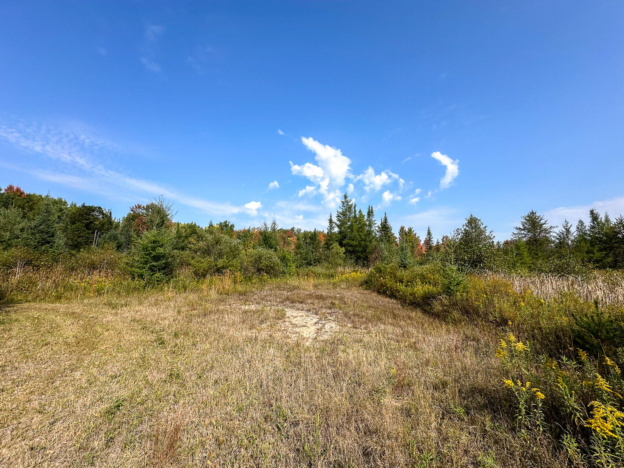 596 North River Road Marion, MI 49665 - Photo 21 of 49 Clearing 2
