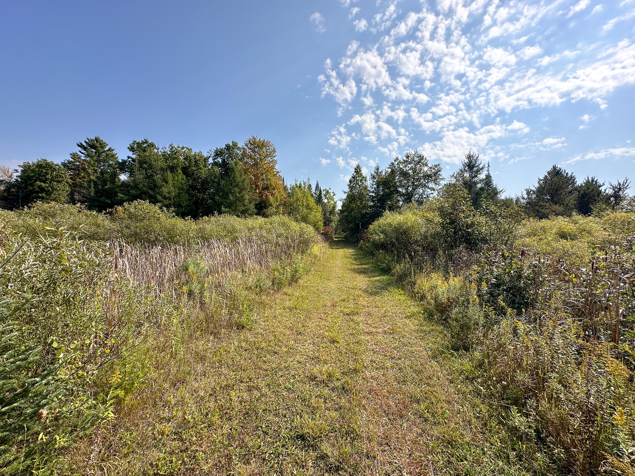 596 North River Road Marion, MI 49665 - Photo 22 of 49 Trail 2