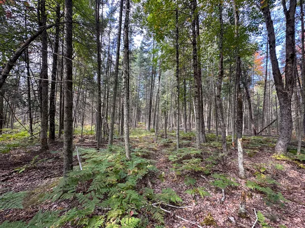 $330,000 | 596 North River Road, Marion, MI 49665