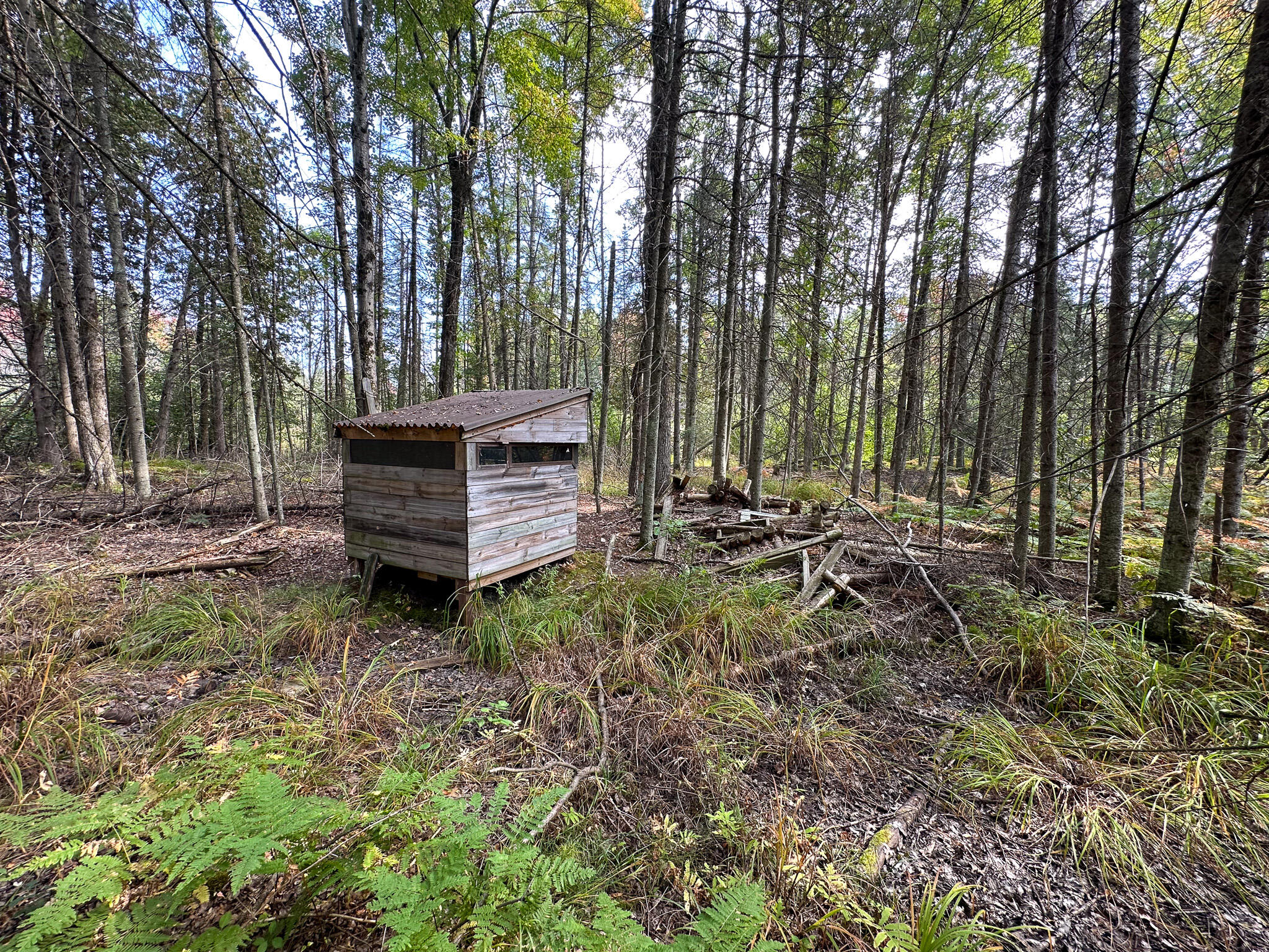 596 North River Road Marion, MI 49665 - Photo 24 of 49 West Gun blind 2