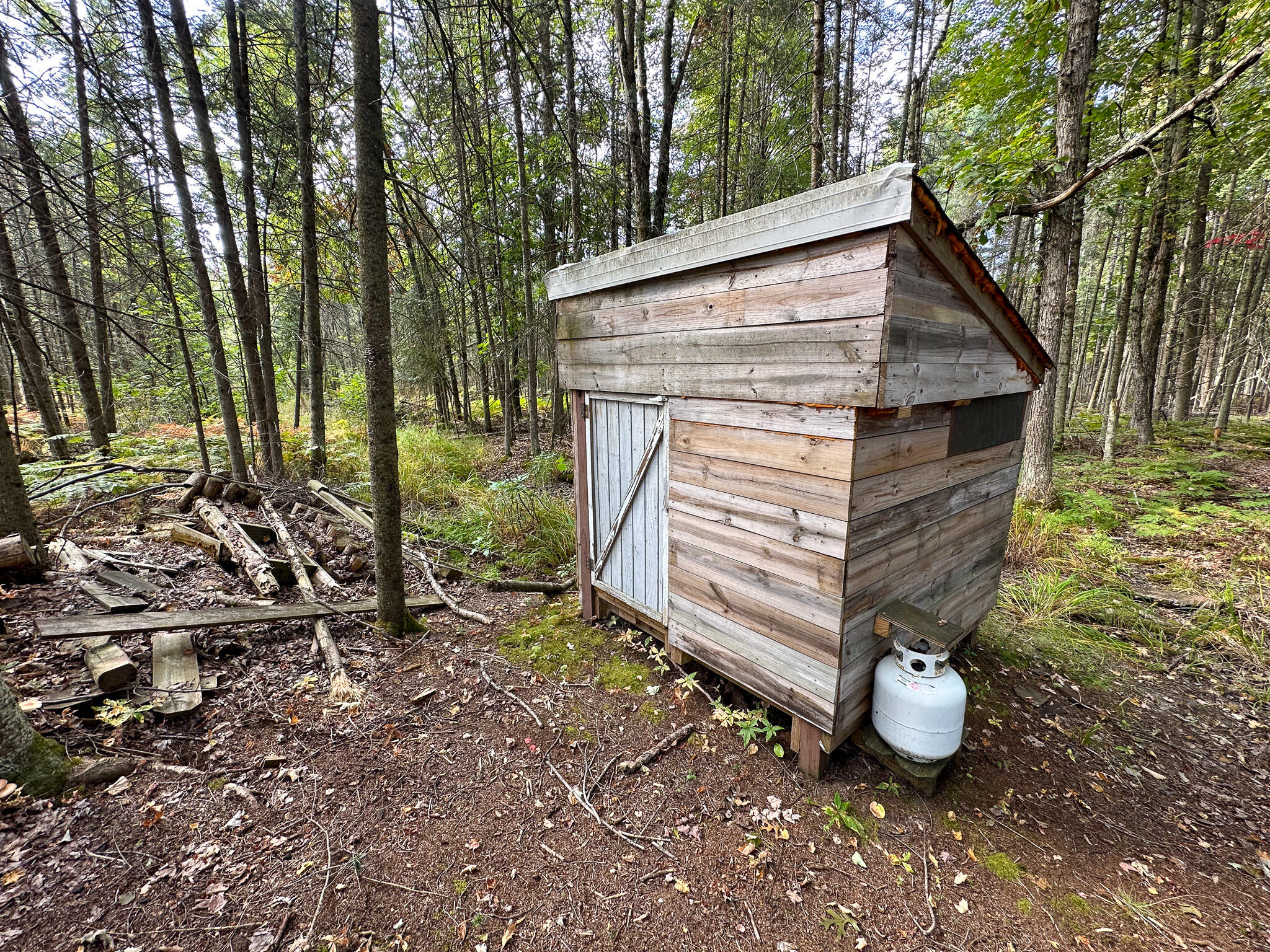 596 North River Road Marion, MI 49665 - Photo 25 of 49 West Gun Blind 1