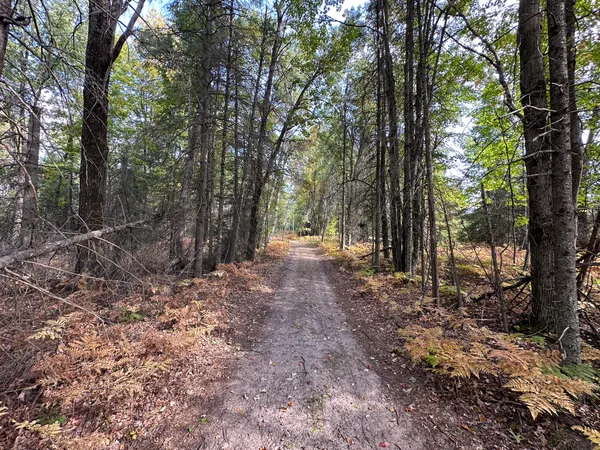 $330,000 | 596 North River Road, Marion, MI 49665