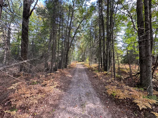 $350,000 | 596 North River Road, Marion, MI 49665