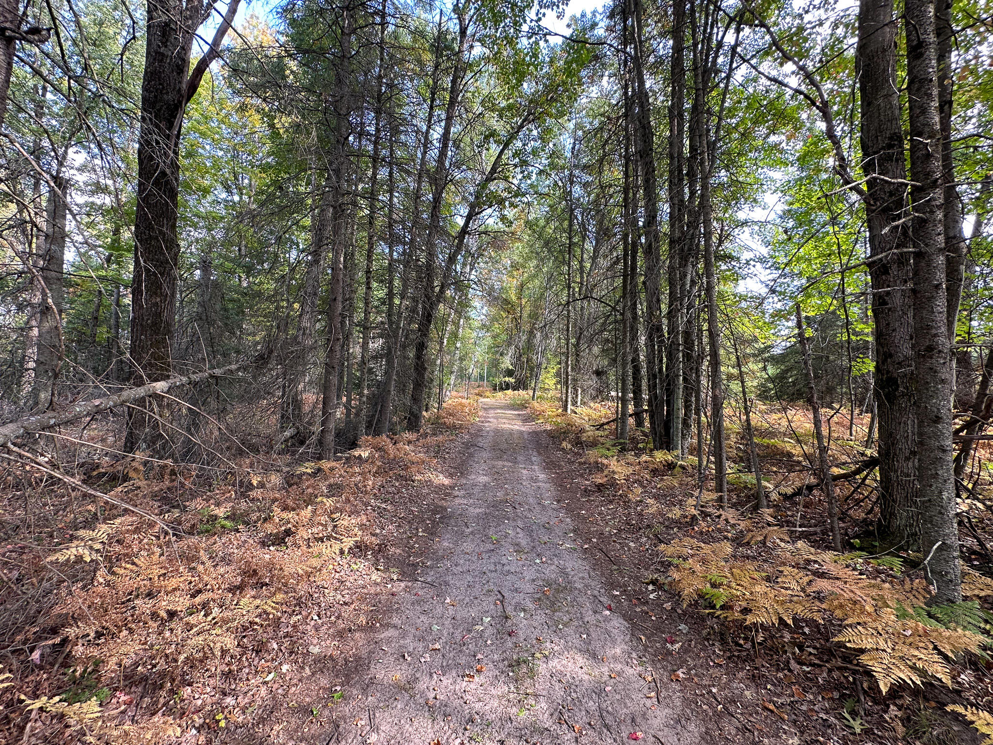 596 North River Road Marion, MI 49665 - Photo 26 of 49 Mid Road
