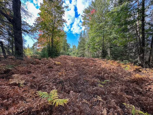 $350,000 | 596 North River Road, Marion, MI 49665