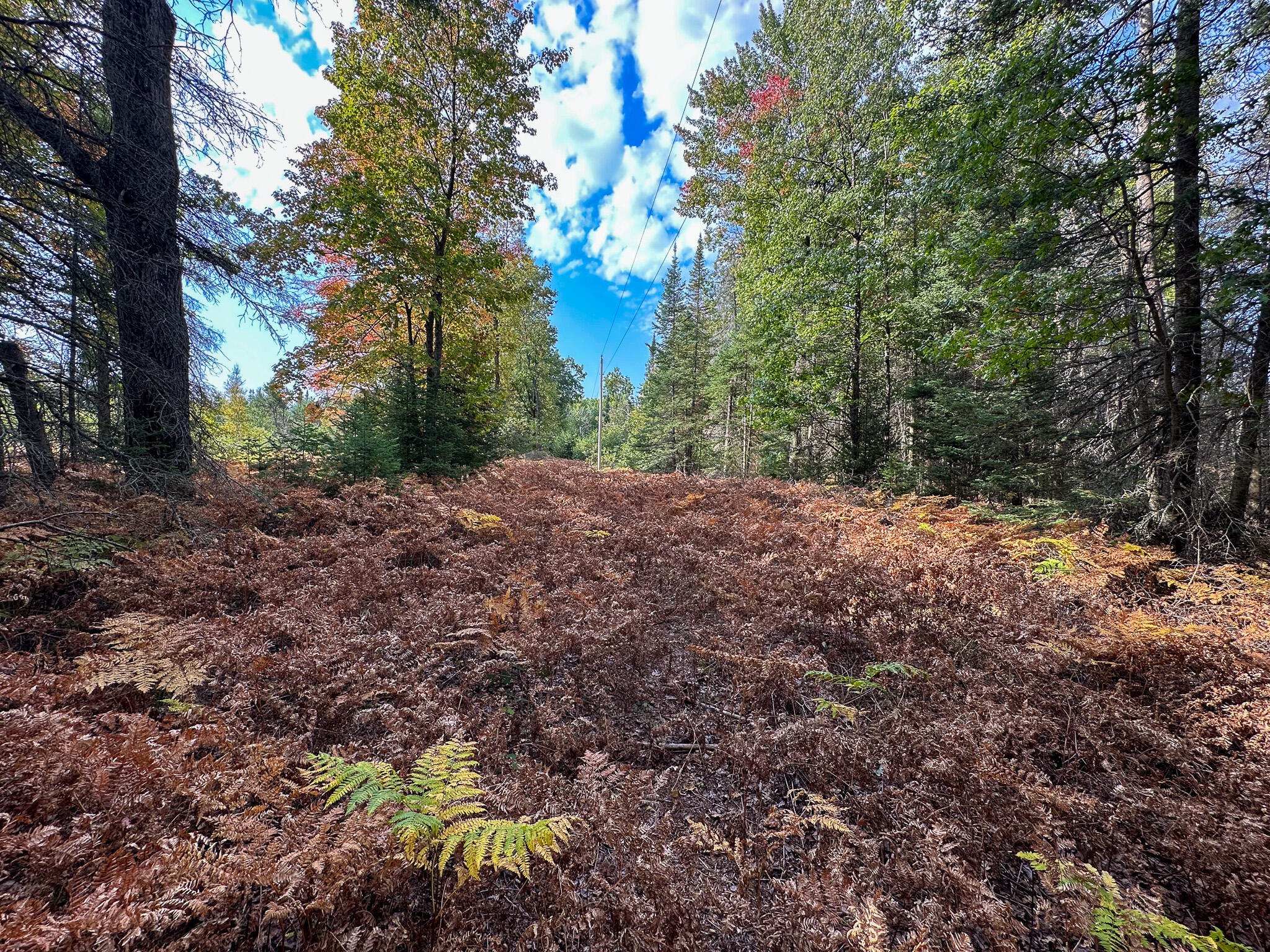 596 North River Road Marion, MI 49665 - Photo 27 of 49 Power Line