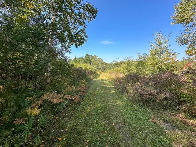 $350,000 | 596 North River Road, Marion, MI 49665