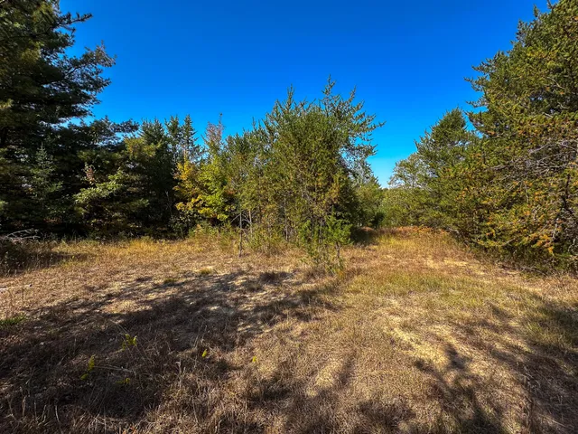 $350,000 | 596 North River Road, Marion, MI 49665