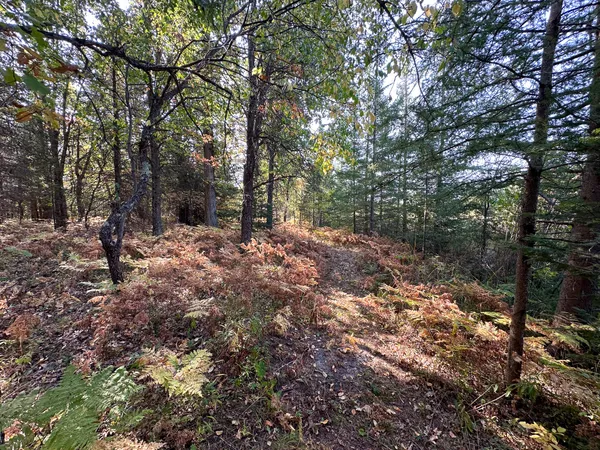 $330,000 | 596 North River Road, Marion, MI 49665