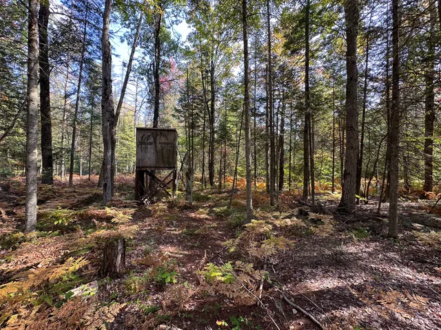 $350,000 | 596 North River Road, Marion, MI 49665