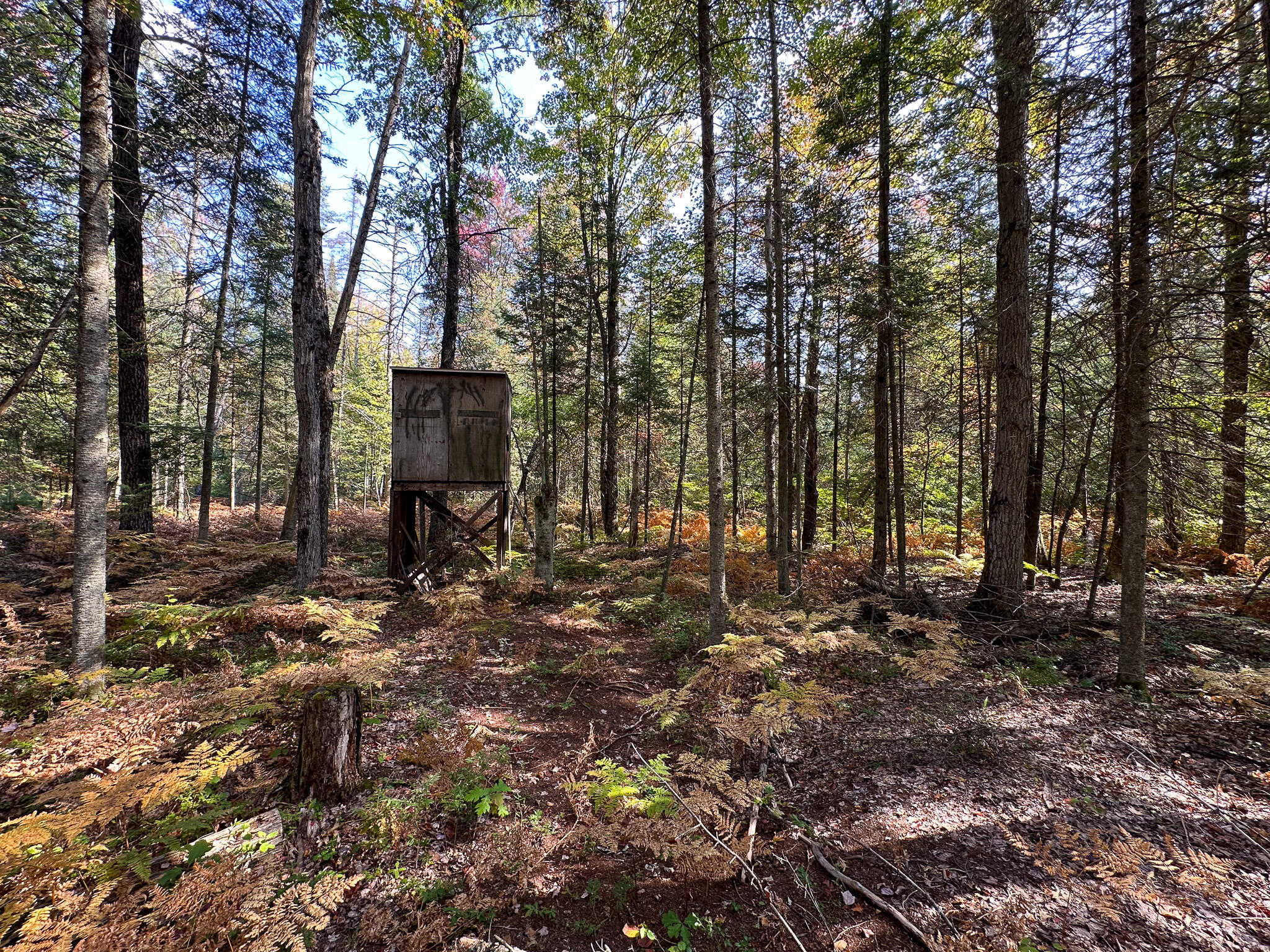 596 North River Road Marion, MI 49665 - Photo 34 of 49 North Blind 1