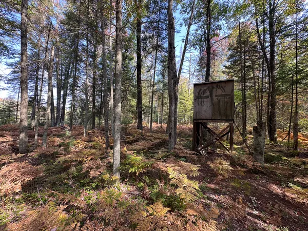 $330,000 | 596 North River Road, Marion, MI 49665