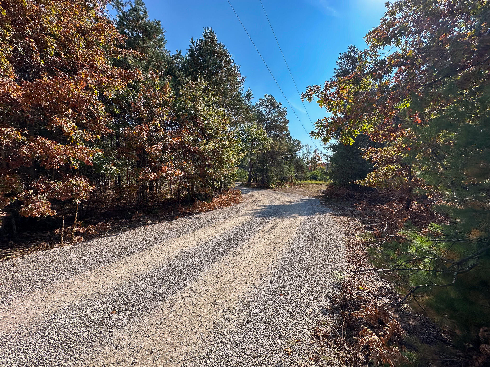 596 North River Road Marion, MI 49665 - Photo 36 of 49 Oil Road