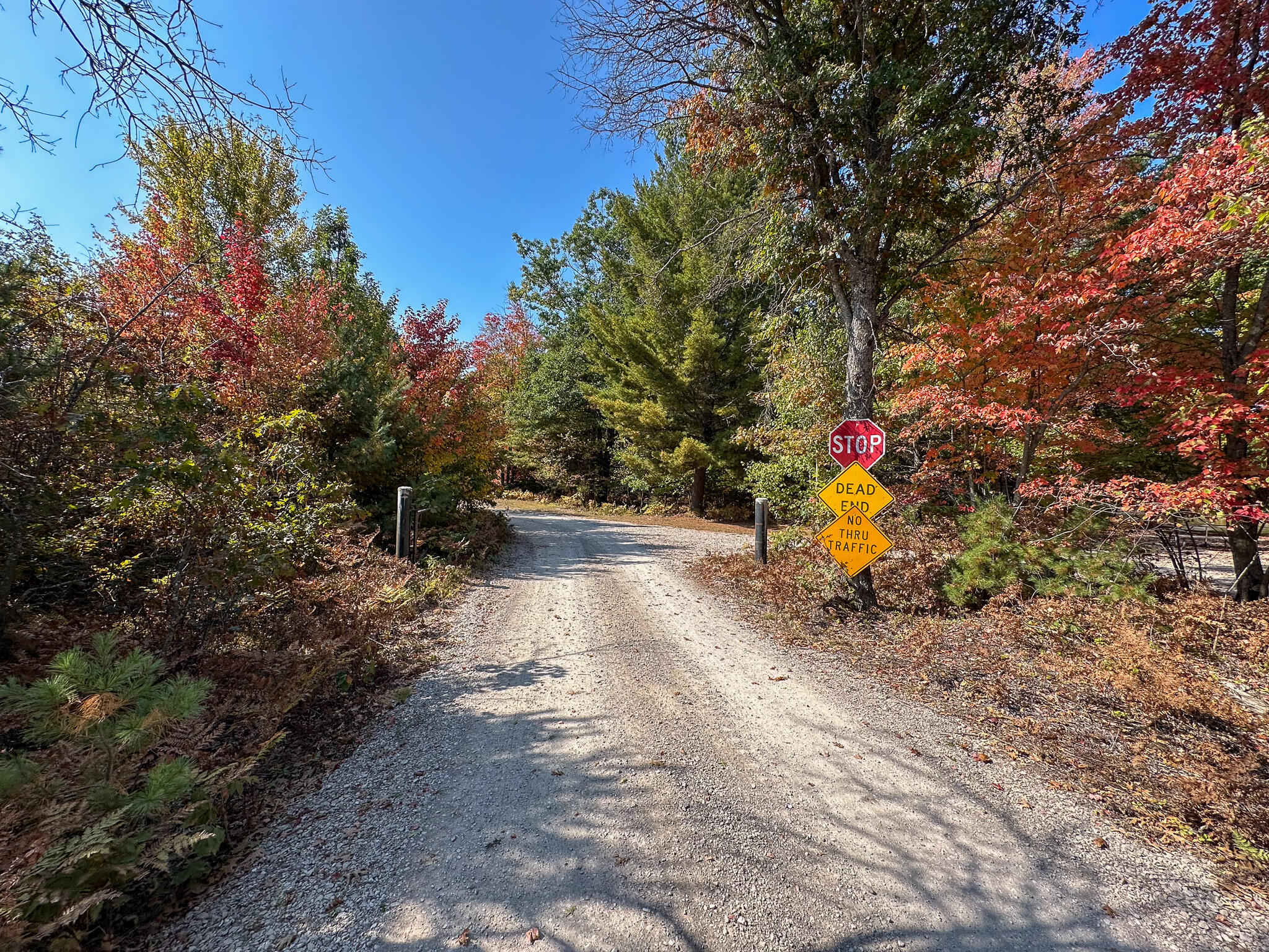 596 North River Road Marion, MI 49665 - Photo 43 of 49 Private Drive