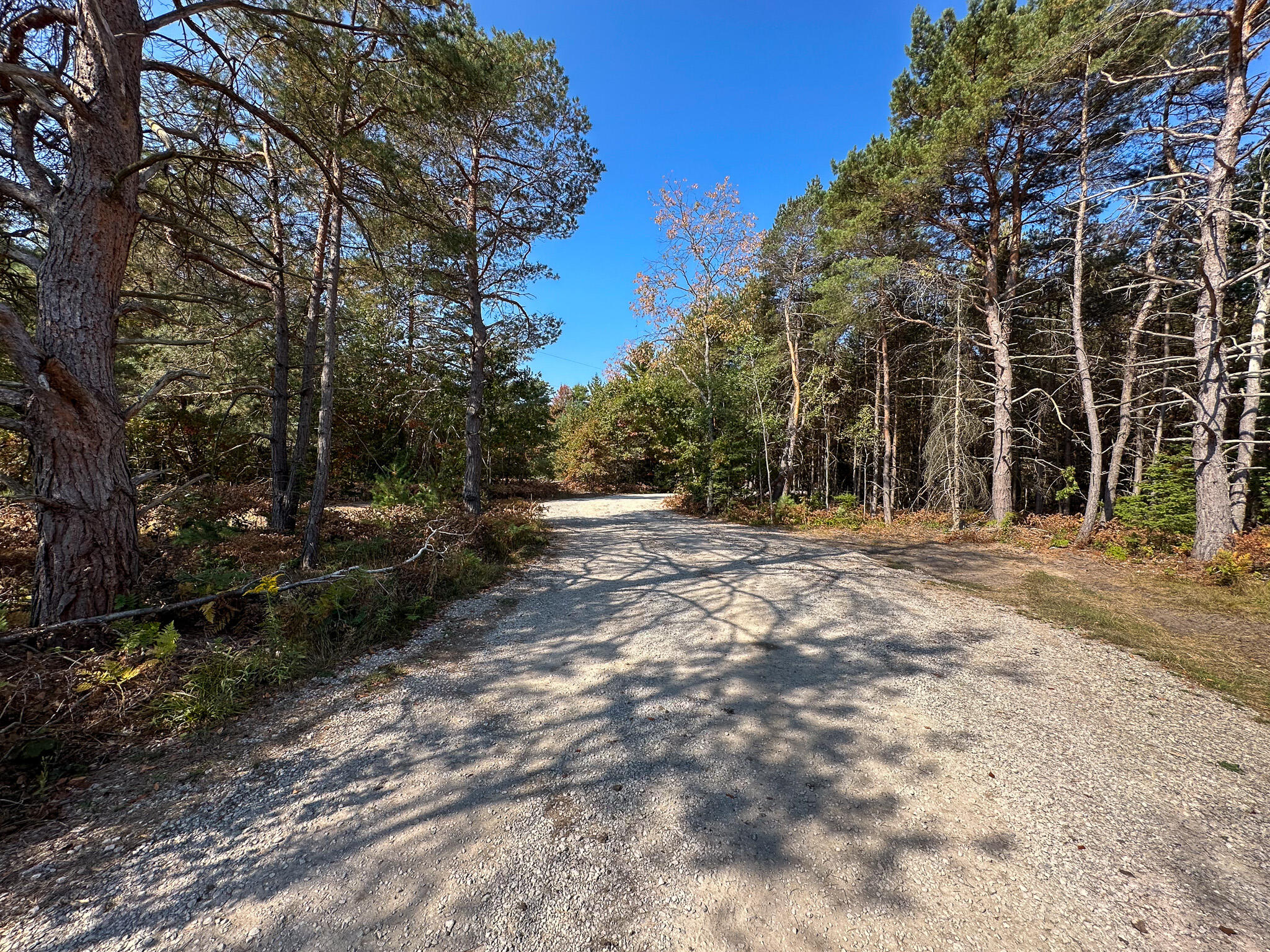 596 North River Road Marion, MI 49665 - Photo 44 of 49 Oil Road 2