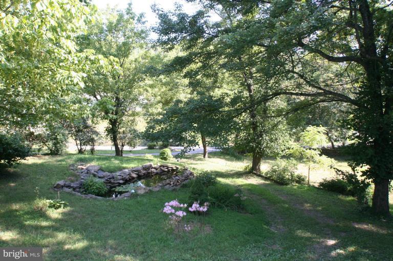 3952 Fiery Run Road Linden, VA 22642 - Photo 7 of 18 Pond View