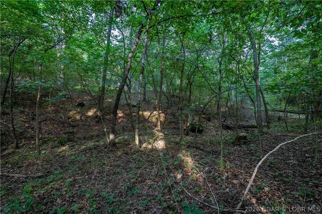 4864 Whispering Timbers Road Stover, MO 65078 - Photo 62 of 96 Gallery Image 62