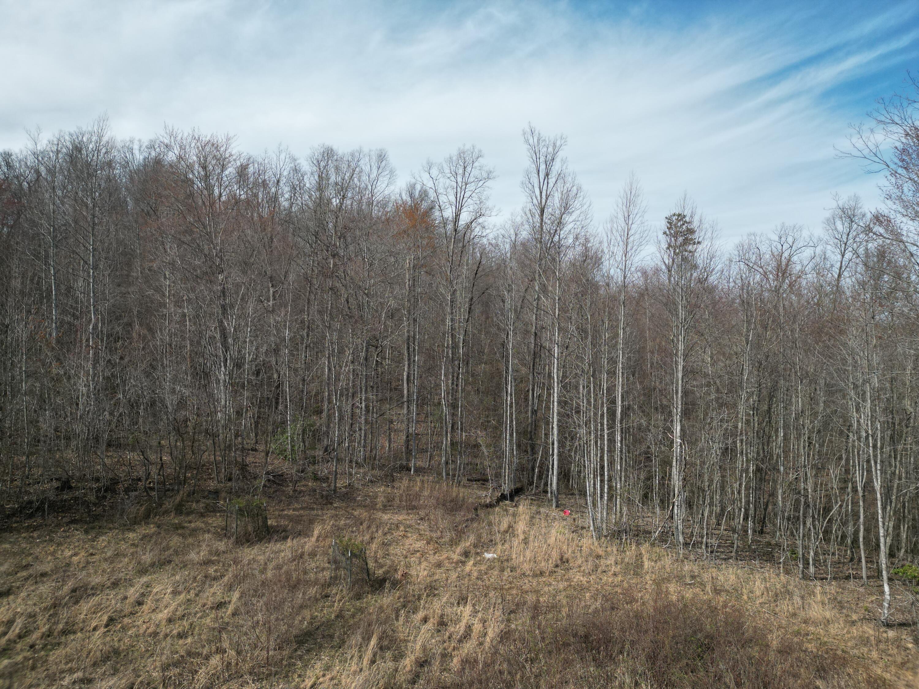 9999 Logan Road Corbin, KY 40701 - Photo 4 of 25 DJI_0847