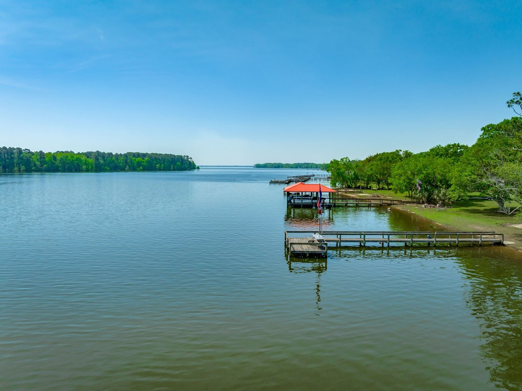 1152 Ralph Bell Road Summerton, SC 29148 - Photo 45 of 57 Gallery Image 45