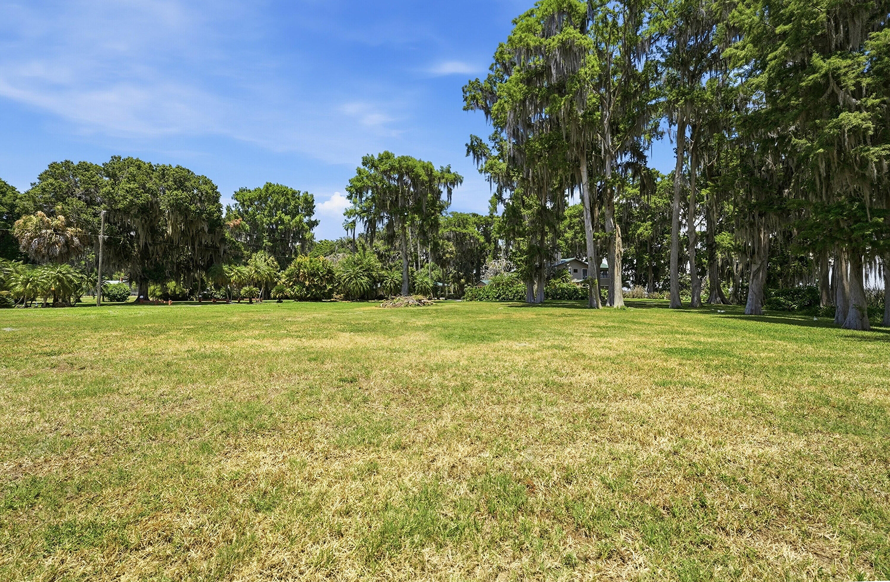 200 Windy Point Road Lake Placid, FL 33852 - Photo 63 of 74 a view of a field with trees in the background