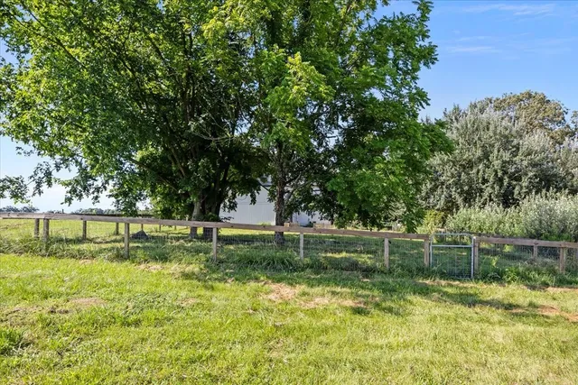 a view of a park with a large tree